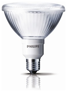  Globe - Contemporary - Compact Fluorescent Bulbs - by bunnings.com.au