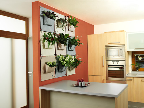 The Green Pockets wall planters - indor use