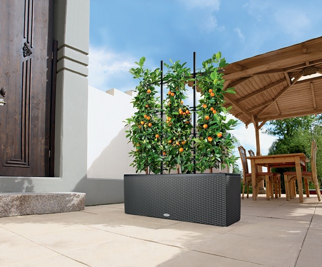 Selfwatering Planters Modern Screens And Room Dividers miami