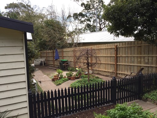 Paint The New Fence 