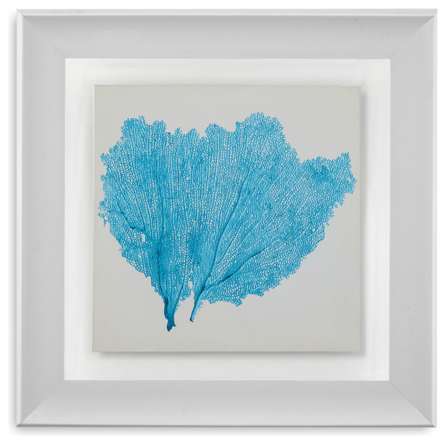 Framed Under Glass Art, Sea Fan IV Beach Style Prints And Posters