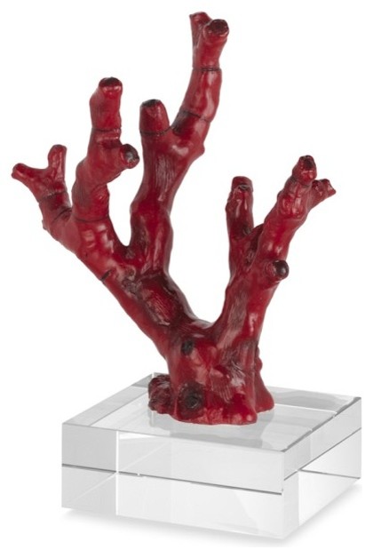 Red Coral On Glass Stand Contemporary Home Decor By | red coral on glass stand contemporary home decor by Red Coral On Glass Stand Contemporary Home Decor By | red coral on glass stand contemporary home decor by