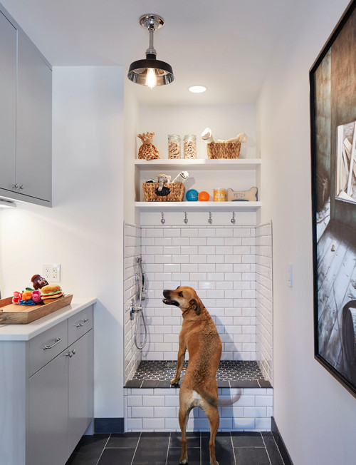 8 Tips for Installing a Dog-Washing Station
