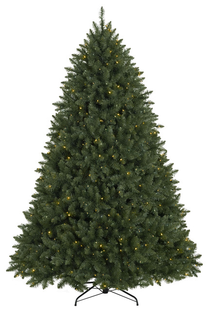 connecticut river pine christmas tree traditional connecticut river pine christmas tree traditional