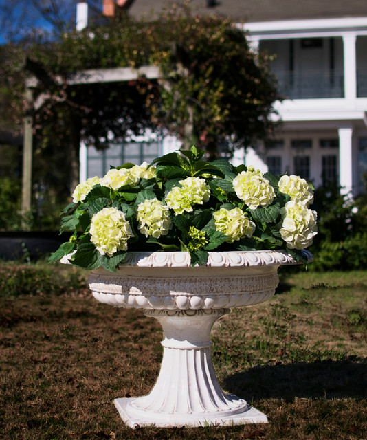Planter Footed Antique White Extra Large Transitional Indoor Pots