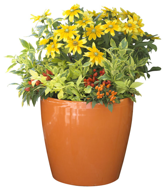 Easy Roller Self Watering Pot, Orange, Large Contemporary Indoor Pots And Planters by My