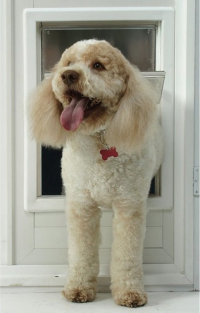 Ideal Multi Flex Storm Door Dog Door Multicolor MFM