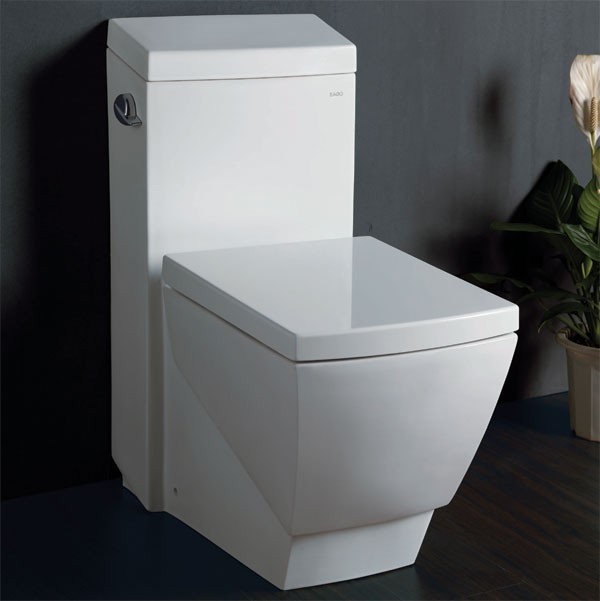 Eago TB336 One Piece High Efficiency EcoFriendly Toilet Modern