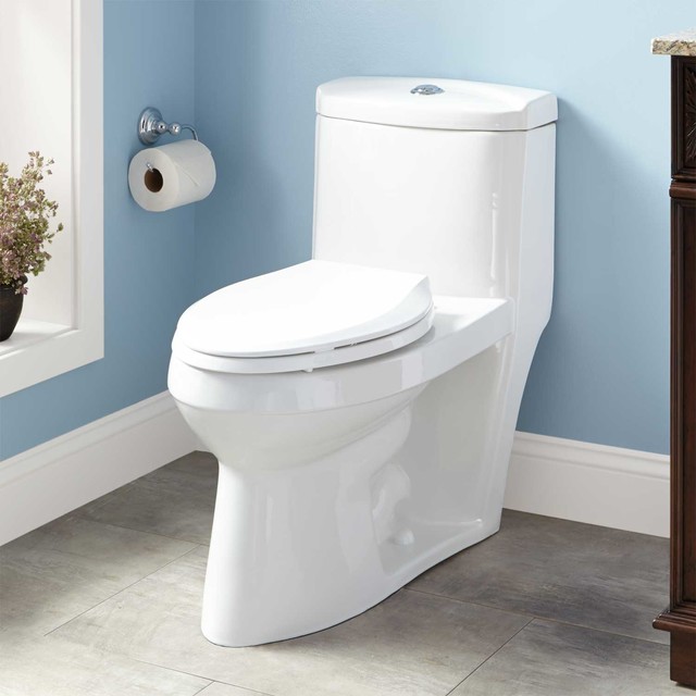 Kaminsky DualFlush OnePiece Elongated Siphonic Toilet Modern