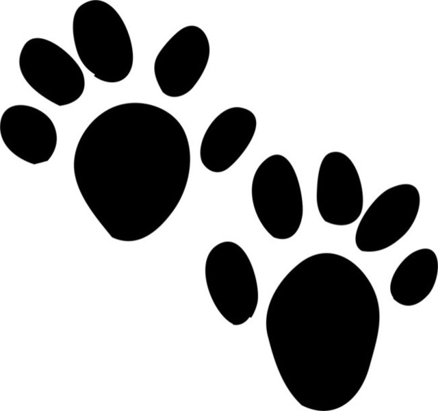 Otter Animal Tracks Stencil Rustic Wall Stencils by Stencil Ease