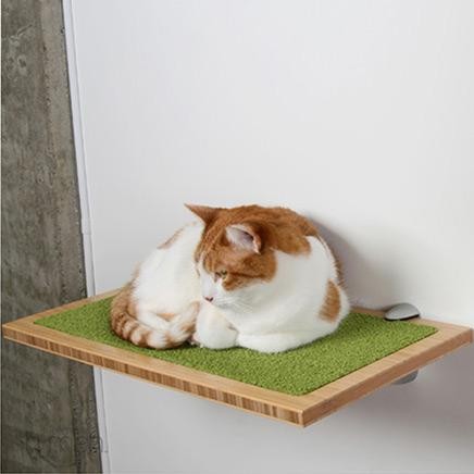 Square Cat Habitat by Buddha