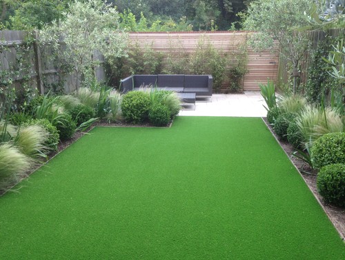 Low maintenance garden