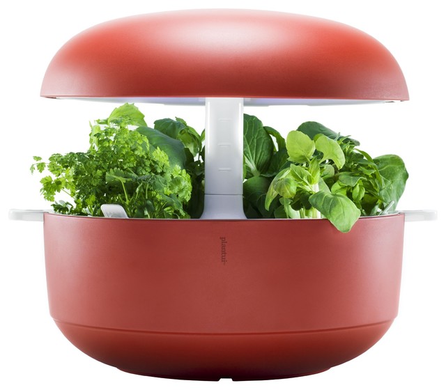 Smart Garden Mini-Gewächshaus - Modern - Küchen-Produkte - von ikarus.de