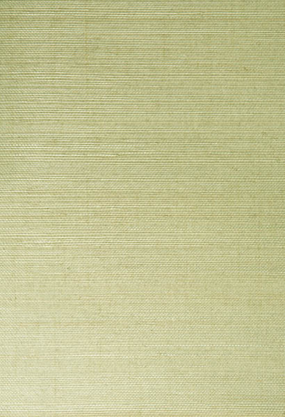 Mutei Sage Grasscloth Wallpaper, Swatch - Tropical - Wallpaper - by