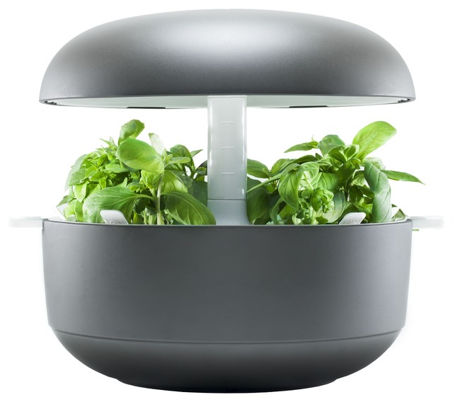 Smart Garden Mini-Gewächshaus - Bauhaus-Look - Gewächshäuser - von