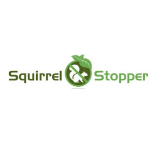 squirrel stopper evansville in us 47725 squirrel stopper evansville in us 47725