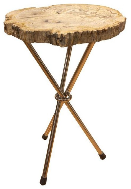 Natural Petrified Wood Slice Accent Table Transitional