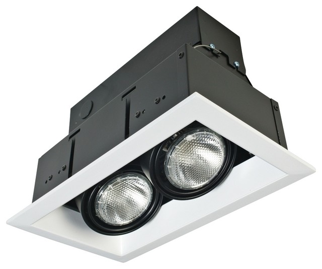 Eurofase White/Black Double Par 20 Recessed Light Modern Recessed