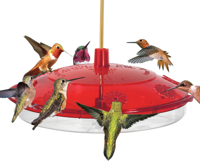 new large hummingbird feeder bird feeders by songbird new large hummingbird feeder bird feeders by songbird