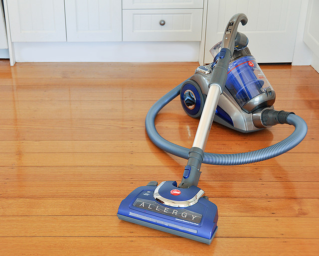 Hoover Allergy Powerhead Bagless Vacuum Contemporary Vacuum Cleaners other metro by Godfreys