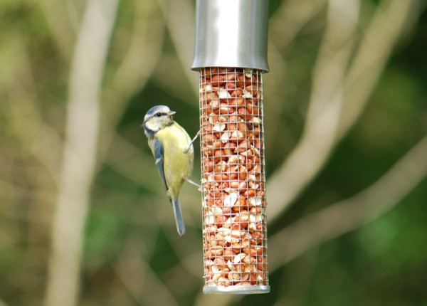 squirrel proof peanut feeder traditional bird feeders squirrel proof peanut feeder traditional bird feeders