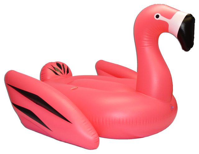 pool toys & floats