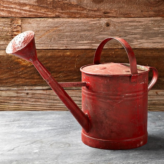 Vintage Painted Watering Can, Red Farmhouse Watering Cans by