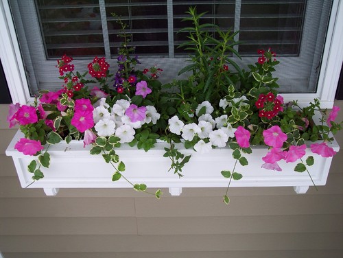 Ideas de decoración: cómo una jardinera bien cuidada puede alegrar tu  terraza este verano — idealista/news