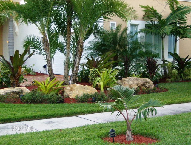 Nerak Co. Landscape - Tropical - Landscape - Miami - by ...
