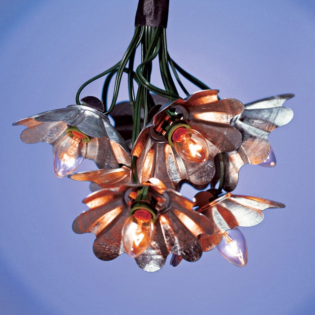 Galvanized Metal String Party Lights - Rustic - Lighting - by Lamps Plus