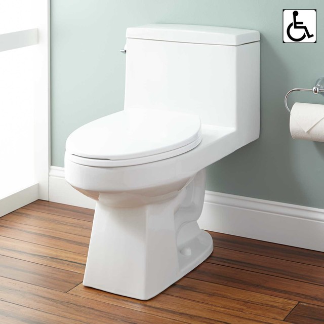 Burnside Siphonic OnePiece Elongated Toilet Modern Toilets by