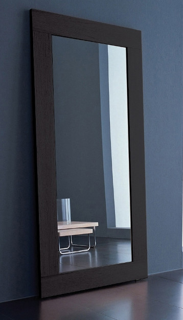 mod loft norfolk floor mirror contemporary miami by home furniture and patio mod loft norfolk floor mirror contemporary miami by home furniture and patio