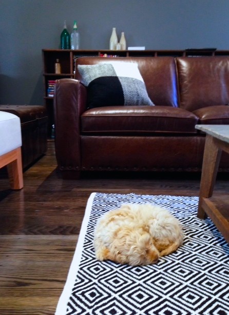Eclectic Living Geelong Living Room - Bachelor Pad eclectic-living-room