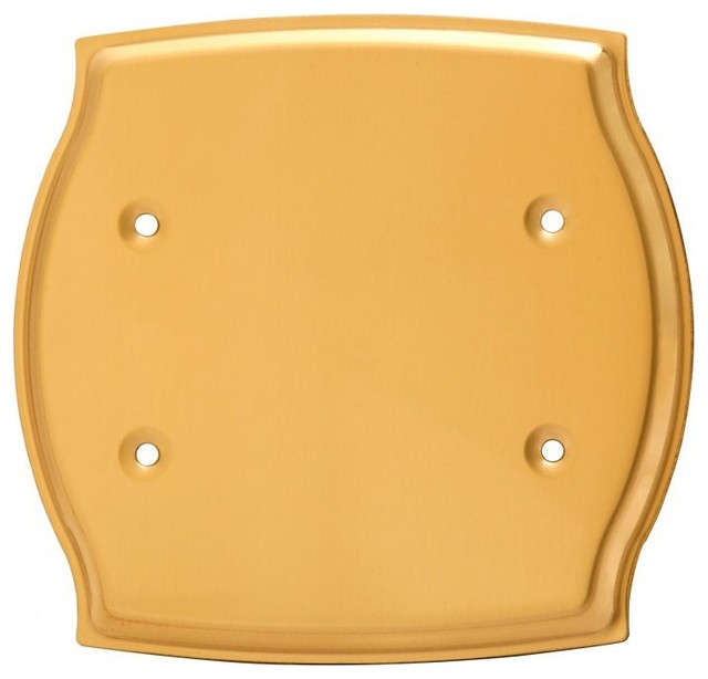 Switchplates Bright Solid Brass Double Blank Switch Plate