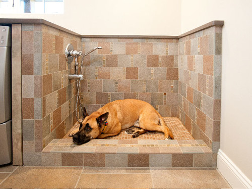 diy dog shower station