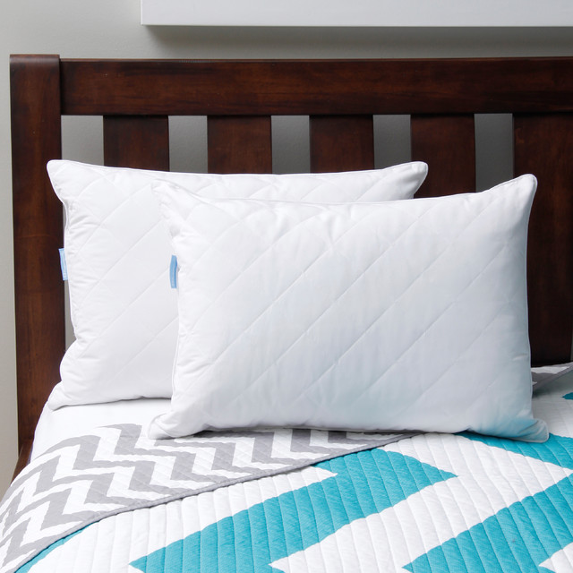 Sealy Posturepedic Feather and Down Pillow (Set of 2) Contemporary