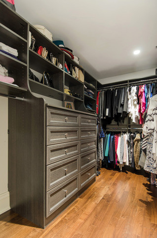 Eclectic Closet Chicago West Town Residence eclectic-closet