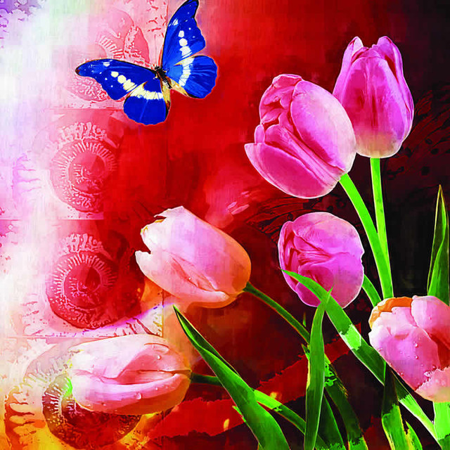 butterfly on a pink rose butterfly on a pink rose