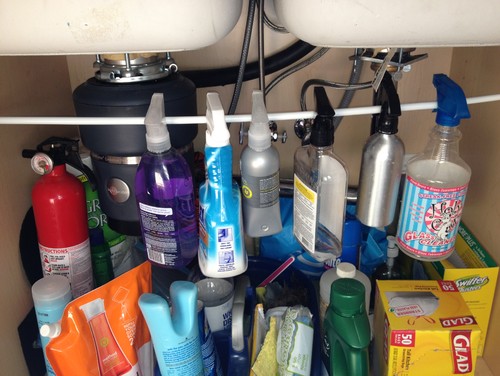 organized cleaning products