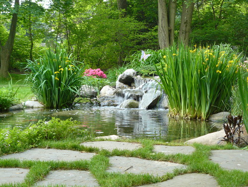 10 tips to build the perfect pond including DIY tips, design and plant ideas to create a relaxing, beautiful outdoor water garden in your yard that your whole family will enjoy!