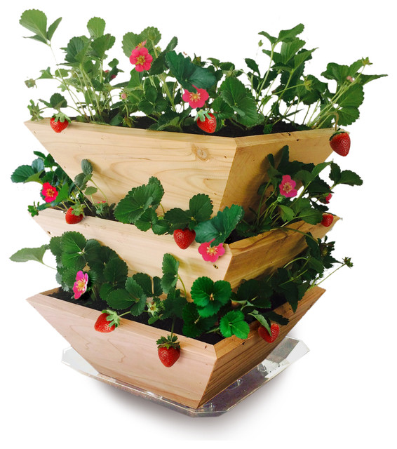 Cedar Wood Strawberry Patch Tower Planter Farmhouse Indoor Pots And