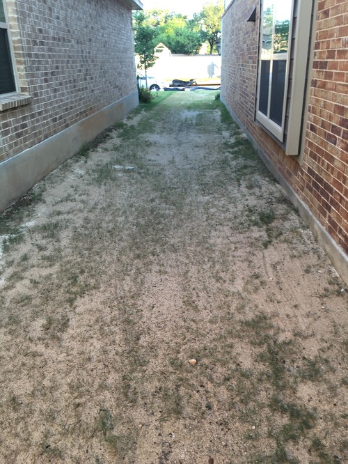 level ground with sand