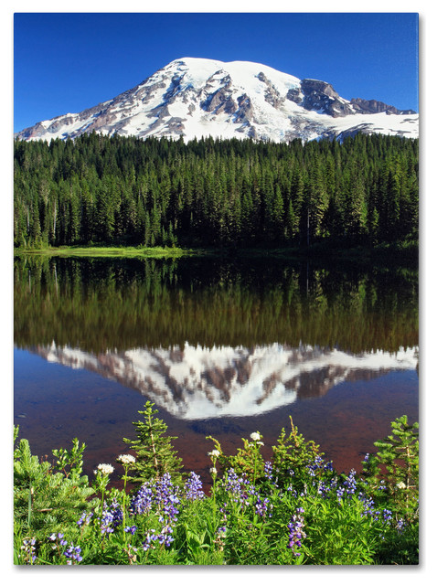 Rainier Wildflowers Canvas Art By Pierre Leclerc X