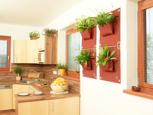 The Green Pockets wall planters - indor use
