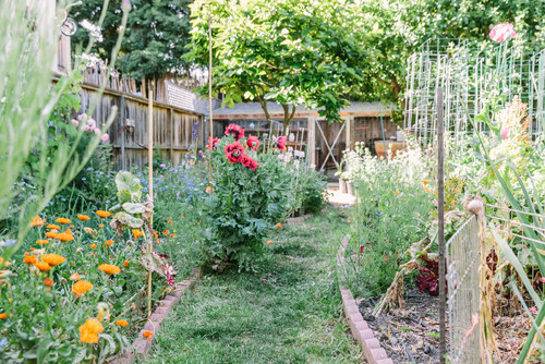 Urban Homesteading Oakland 1