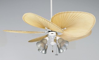 Lights For Slanted Ceiling,Light Bulbs For Ceiling Fans,Girl Ceiling Fans With Lights,Cluster Ceiling Lights Uk,Wall And Ceiling Lights To Match,Hampton Bay Ceiling Fan Light Kits,Kitchen Ceiling Lights Argos,Outdoor Ceiling Fan No Light,Low Profile Ceiling Fan Without Light,How To Install Recessed Lighting In Existing Ceiling,Ceiling Fan With Bright Light,Battery Operated Ceiling Light Fixture,Types Of Ceiling Lights,Dining Room Lights For Low Ceilings,Kids Ceiling Fans With Lights,How To Fit Ceiling Light,Ceiling Spot Light Fittings,Retro Ceiling Lights Uk,The Range Ceiling Lights,Multi Coloured Ceiling Lights,Wilko Ceiling Lights,Flush Mount Ceiling Fan With Light And Remote,Outdoor Ceiling Fans Without Lights,Flush Mount Ceiling Fan No Light,Flush Mount Ceiling Fans Without Lights,Bright Ceiling Light Fixtures,Flush Mount Ceiling Fan Without Light,Industrial Ceiling Fans With Lights,Kitchen Ceiling Fans With Bright Lights,Decorative Ceiling Light Panels,Elegant Ceiling Fans With Lights,Double Ceiling Fan With Light,Lights For Angled Ceilings,Clearly Modern Semi Flush Ceiling Light,Ceiling Light Mounting Bracket,Enclosed Ceiling Fan With Light,Hunter Ceiling Fan Light Covers,Led Ceiling Fan Light Bulbs,Ceiling Fan Led Light Bulbs,Hampton Bay Ceiling Fan Light Bulbs,Easy Fit Ceiling Lights,Universal Ceiling Fan Light Kits,Beacon Lighting Ceiling Fans,Hampton Bay Ceiling Fan Light Cover,Colour Changing Ceiling Lights,B & Q Ceiling Lights,Change Light Bulb High Ceiling,High Ceiling Light Bulb Changer,Modern Ceiling Fans With Lights And Remote,Outdoor Ceiling Fan With Light And Remote,Ceiling Fans With Remote Control And Light,Lighting Direct Ceiling Fans,Tropical Ceiling Fan With Light,Ceiling Fan With Crystal Light Kit,24 Ceiling Fan With Light,Led Lights For Garage Ceiling,Entryway Lights Ceiling,White Flush Mount Ceiling Fan With Light,Childrens Ceiling Fans With Lights,Nautical Flush Mount Ceiling Light,Antique White Ceiling Fan With Light,Battery Powered Ceiling Light Fixtures,Designer Ceiling Lights Uk,Vit Oak Wall Clock,Battery Operated Picture Wall Lights,Bathroom Wall Lights B&Q,Battery Operated Wall Mounted Lights,Moroccan Outdoor Wall Lights,Solar Brick Wall Lights,Fused Glass Wall Lights,Wall Picture Lights Battery Operated,Light Switch Controls Wall Outlet,Wall Clock With Led Light,Pull Switches For Wall Lights,12 Volt Outdoor Wall Lights,Wall Light Fittings B&Q,Ikea Plug In Wall Lights,Wall Mount Light Fixtures Indoor,Switched Wall Reading Lights Lights For Slanted Ceiling,Light Bulbs For Ceiling Fans,Girl Ceiling Fans With Lights,Cluster Ceiling Lights Uk,Wall And Ceiling Lights To Match,Hampton Bay Ceiling Fan Light Kits,Kitchen Ceiling Lights Argos,Outdoor Ceiling Fan No Light,Low Profile Ceiling Fan Without Light,How To Install Recessed Lighting In Existing Ceiling,Ceiling Fan With Bright Light,Battery Operated Ceiling Light Fixture,Types Of Ceiling Lights,Dining Room Lights For Low Ceilings,Kids Ceiling Fans With Lights,How To Fit Ceiling Light,Ceiling Spot Light Fittings,Retro Ceiling Lights Uk,The Range Ceiling Lights,Multi Coloured Ceiling Lights,Wilko Ceiling Lights,Flush Mount Ceiling Fan With Light And Remote,Outdoor Ceiling Fans Without Lights,Flush Mount Ceiling Fan No Light,Flush Mount Ceiling Fans Without Lights,Bright Ceiling Light Fixtures,Flush Mount Ceiling Fan Without Light,Industrial Ceiling Fans With Lights,Kitchen Ceiling Fans With Bright Lights,Decorative Ceiling Light Panels,Elegant Ceiling Fans With Lights,Double Ceiling Fan With Light,Lights For Angled Ceilings,Clearly Modern Semi Flush Ceiling Light,Ceiling Light Mounting Bracket,Enclosed Ceiling Fan With Light,Hunter Ceiling Fan Light Covers,Led Ceiling Fan Light Bulbs,Ceiling Fan Led Light Bulbs,Hampton Bay Ceiling Fan Light Bulbs,Easy Fit Ceiling Lights,Universal Ceiling Fan Light Kits,Beacon Lighting Ceiling Fans,Hampton Bay Ceiling Fan Light Cover,Colour Changing Ceiling Lights,B & Q Ceiling Lights,Change Light Bulb High Ceiling,High Ceiling Light Bulb Changer,Modern Ceiling Fans With Lights And Remote,Outdoor Ceiling Fan With Light And Remote,Ceiling Fans With Remote Control And Light,Lighting Direct Ceiling Fans,Tropical Ceiling Fan With Light,Ceiling Fan With Crystal Light Kit,24 Ceiling Fan With Light,Led Lights For Garage Ceiling,Entryway Lights Ceiling,White Flush Mount Ceiling Fan With Light,Childrens Ceiling Fans With Lights,Nautical Flush Mount Ceiling Light,Antique White Ceiling Fan With Light,Battery Powered Ceiling Light Fixtures,Designer Ceiling Lights Uk,Vit Oak Wall Clock Battery Operated Picture Wall Lights Bathroom Wall Lights B&Q Battery Operated Wall Mounted Lights Moroccan Outdoor Wall Lights Solar Brick Wall Lights Fused Glass Wall Lights Wall Picture Lights Battery Operated Light Switch Controls Wall Outlet Wall Clock With Led Light Pull Switches For Wall Lights 12 Volt Outdoor Wall Lights Wall Light Fittings B&Q Ikea Plug In Wall Lights Wall Mount Light Fixtures Indoor Switched Wall Reading Lights