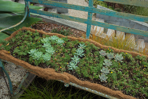 My Houzz: Backyard Cottage Office and an Artful Low-Water Garden