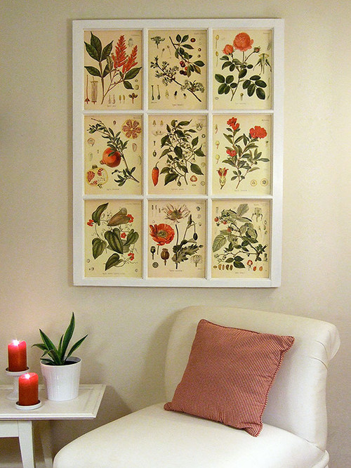 Botanical prints and salvaged window