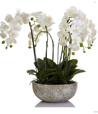 Silk Flowers Online Aus The Best Ideas Http Www Flowerama Net Au Offers Sydney 39 S Largest Display Of Beautiful Life Like Fake