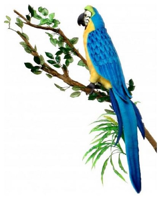 Blue And Gold Macaw Toys 6